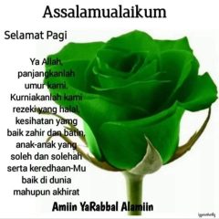 Stand with Palestine.